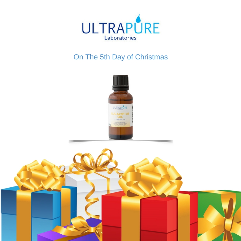 On The 5th Day of Christmas